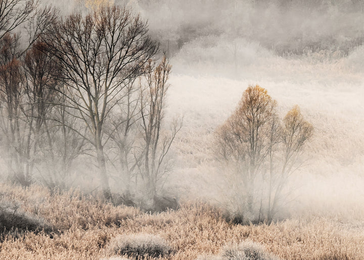 Ljuddämpande tavla - Misty Grove