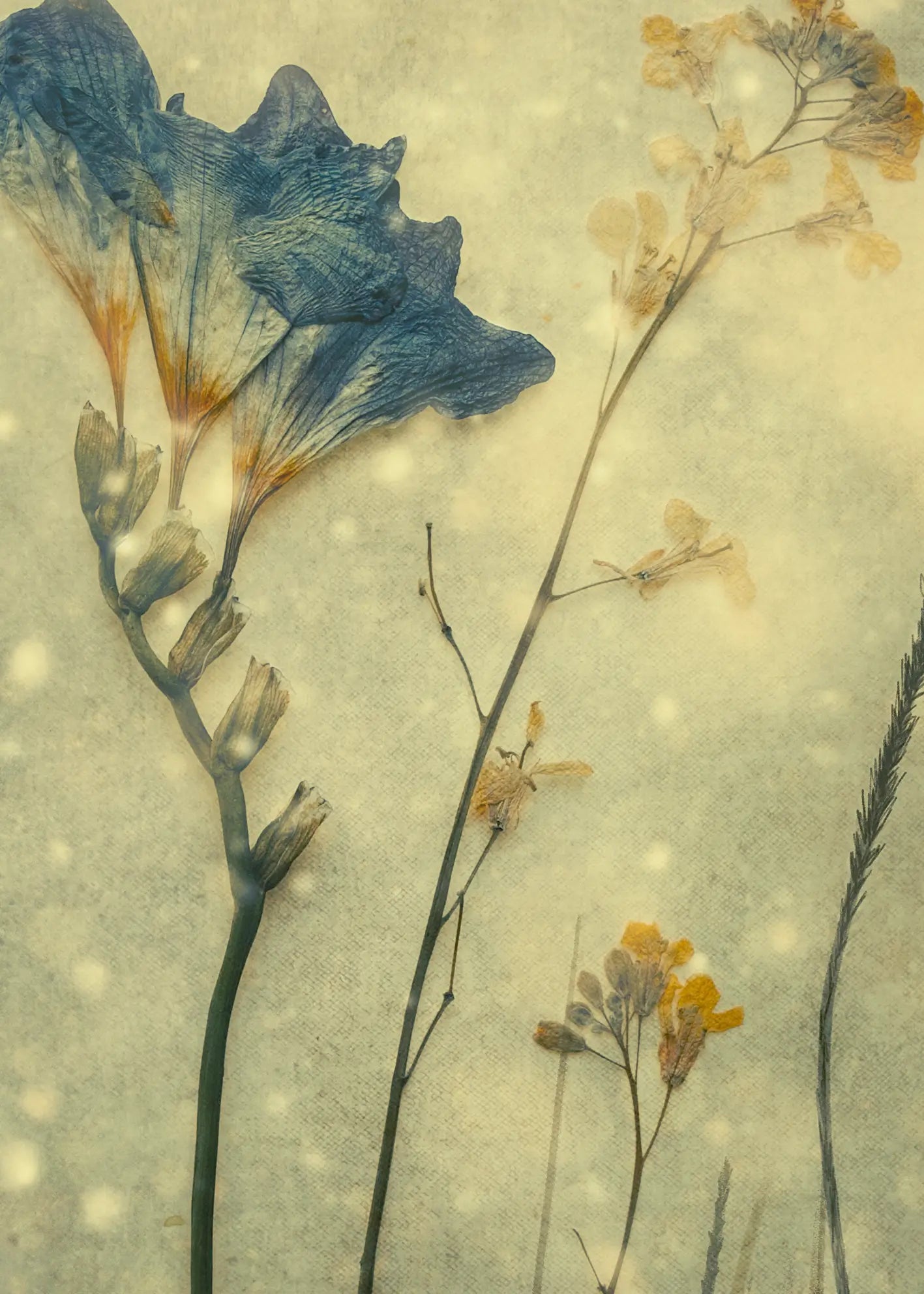 Ljuddämpande tavla - Ethereal Garden