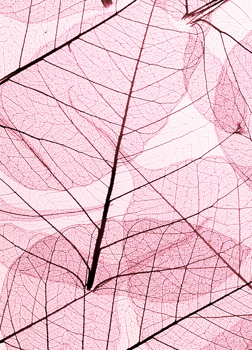 Canvastavla - Leafs (100x150)