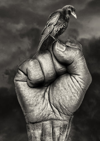 Canvastavla - Raven's Embrace